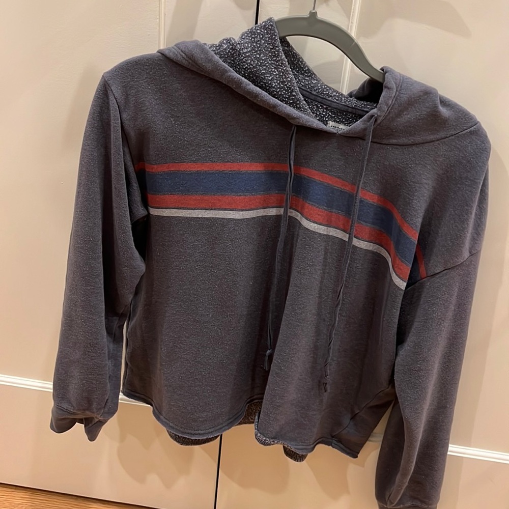 American Eagle Cropped Hoodie